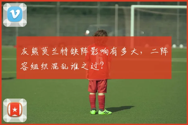 灰熊莫兰特缺阵影响有多大,二阵容组织混乱谁之过?